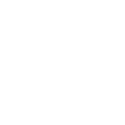 Certified Professional badge